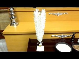 四華花とは…