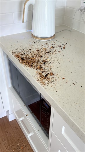 When you fuck up the toaster clean #toaster #clean #crumbtray #fuck #accident | Riot cleaning services
