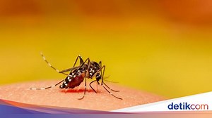 15 Contoh Simbiosis Parasitisme pada Makhluk Hidup, Rugikan Salah Satu Pihak