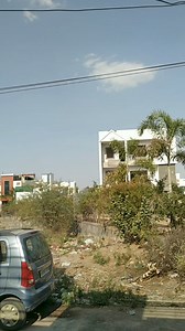 Working my colony in 4:34 pm | Fun 4 You