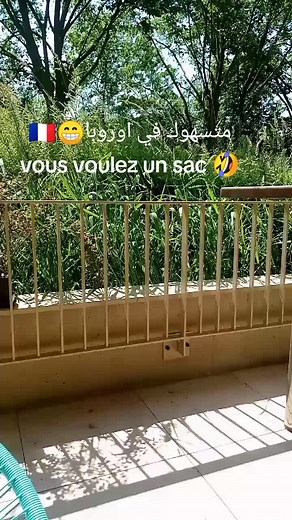 Vidéos de Bango Bango (@bango.bangoo) avec son original - DJOO⚡️