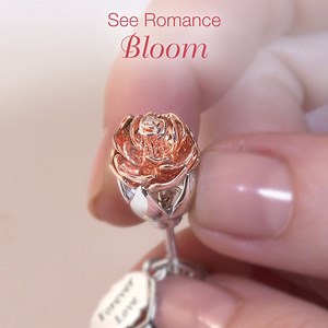 388 reactions · 65 shares | Watch this perfect symbol of love open to reveal hidden messages from the heart. Click to shop: https://bit.ly/3vnwqwL #Love #Romantic | The Bradford Exchange | Facebook
