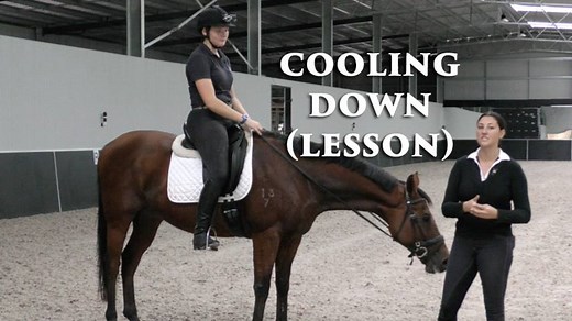 1K views · 42 reactions | Welcome to Dressage Mastery TV Episode 88 - Cooling down your horse after a training session - Lesson!! Today Natasha follows on from Tuesday's episode on how to cool your horse down by taking Georgia and her horse through the cool down after a session. Enjoy!! | Your Riding Success | Facebook