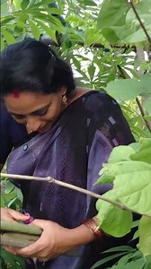 Mung Bean Harvest || TELUGU GARDEN VLOG