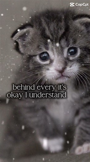 I cry myself to sleep every night