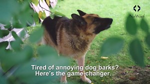 Upgraded 2025 Dog Bark Deterrent Device – Ultrasonic Anti Barking Device for Dogs with 4 Training Modes, 23FT Range, Safe & Humane Bark Control for Indoor & Outdoor Use.