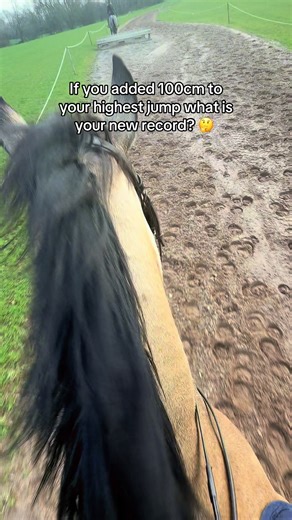 Improving Your Show Jumping Techniques