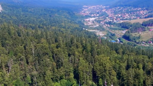 Ingineria germană aleasă de generații  De la rafinamentul...