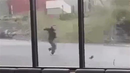 Otago University students narrowly escape falling tree as 150km/h winds batter South Island