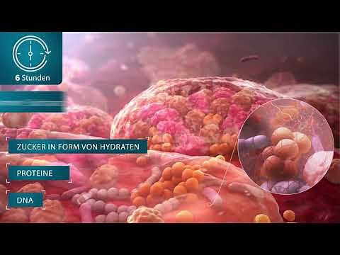 ConvaTec Erklärvideo | Was ist Biofilm?