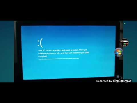 Squidward Earrape BSOD (Windows 10)