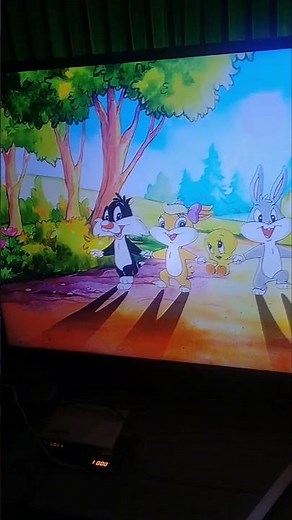 Baby Looney Tunes reversed