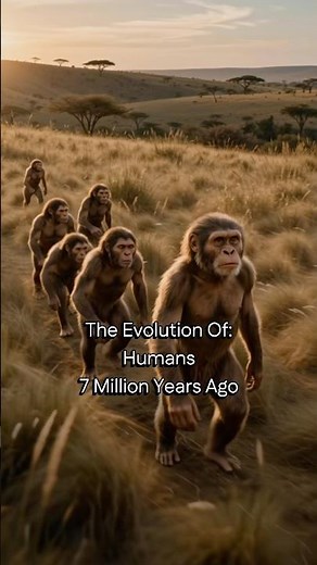 The Evolution of Humans😱 #humanevolution #ancientorigins #evolutionexplained