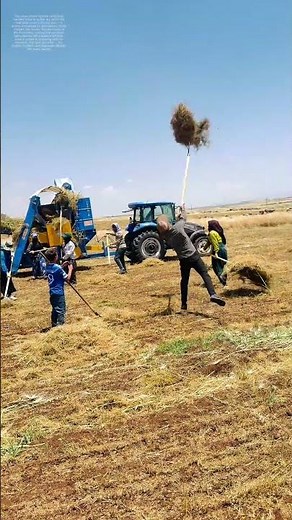 Raking Hay the Old-School Way: Why Manual Labor Still Wins in the Field