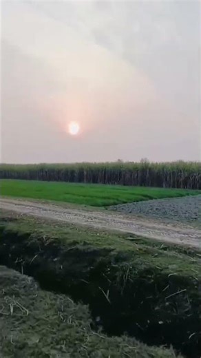 use Mod Se Bhi Ham gujre ha #viralvideochallenge #viralvideo #onthisday
