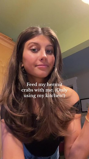 Feeding Hermit Crabs: A Complete Guide to Healthy Nutrition