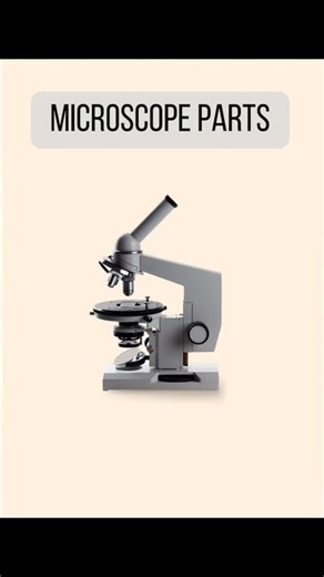 Parts of Microscope #biology #science #education
