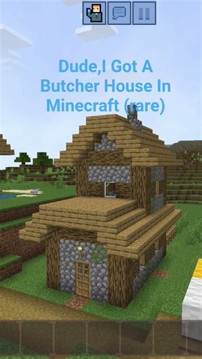 butcher shop minecraft