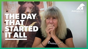 29 years ago Jill Robinson first stepped foot onto a bile farm. What she saw that day changed her life and the lives of thousands of animals. Rows upon rows of Asiatic black bears - moon bears - in tiny cages, pleading with their eyes for her to save them. Jill made a promise that day: to end the cruel, outdated and unnecessary practice of bear bile farming. And now, the charity she founded to protect and save animals in Asia is on the verge of making good on that promise: Animals Asia is about 