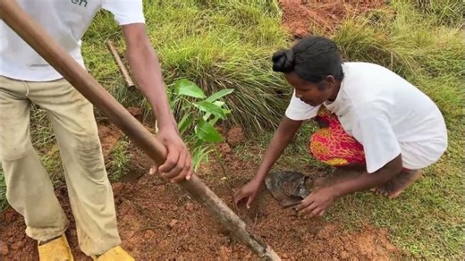 Sharp Electronics Corporation USA | Sharp Electronics Corporation USA