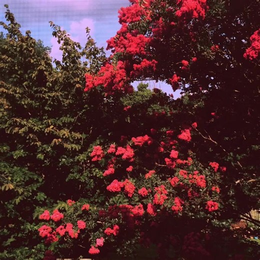 Pure Vocals of Takda E Jawan - Love and Emotion