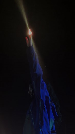 Lorde's Angelic Performance at Lollapalooza