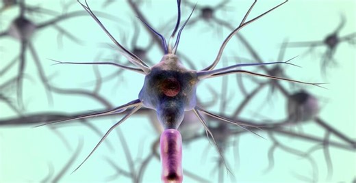 New Biomarkers Improve Diagnostics for Multiple Sclerosis & An MS-Like Disorder – Lifeboat News: The Blog