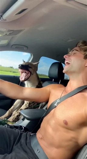Telling Jokes To My New Rescue Dog🤣😭