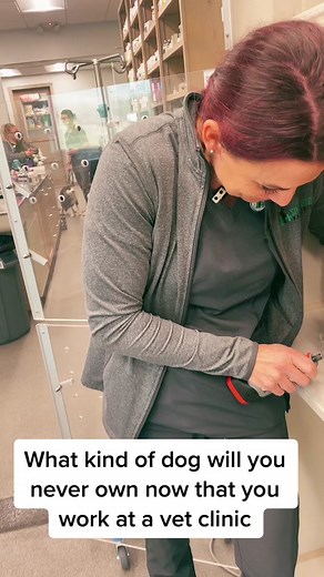 Question of the day. #fyp #vetmed #vettech #vettiktokk #receptionist #dogbreeds