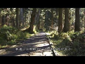 ミシュラン「羽黒山」