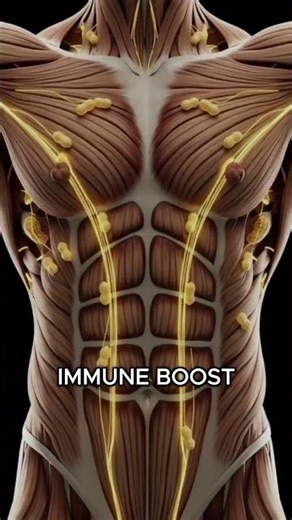 The Amazing Benefits of Peanuts — 3D Medical Animation