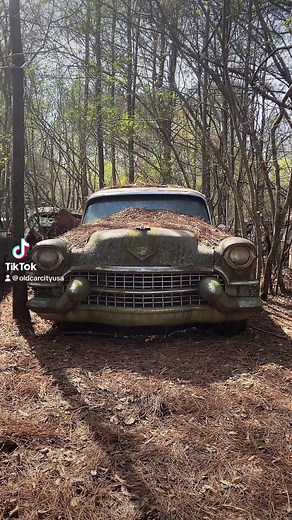 25K views · 1.4K reactions | Sunny  Day. Old Car City USA  | Old Car City USA | Facebook