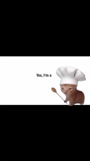 Bithday Whiskers on Instagram: "Happy Birthday 🎂 #birthday #cats #memes"