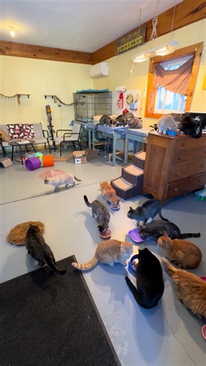 It’s num num time 🥰