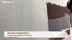 Are you having problems with your paintwork? Don't worry anymore! 🤔🧐 ✅ SAVE TIME, SAVE MONEY with our new R.ONE: Paint & Primer 2-in-1 to help you resolve paintwork issues efficiently. ✅ Friendly for D.I.Y users too. | Raffles Paint