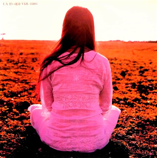 【今日の一曲】UA - 甘い運命