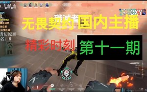 【无畏契约】国内主播精彩时刻#11 cxy轻松5杀，Whzy：空狙被cxy靠，yjj：手枪4杀力挽狂澜，节奏：3粒米