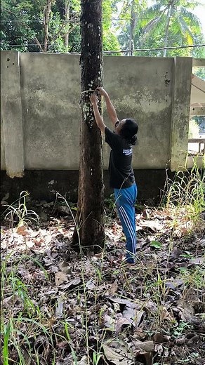 9 // JATI SOLOMON UMUR 13 TAHUN // SINDANGRASA CIAMIS