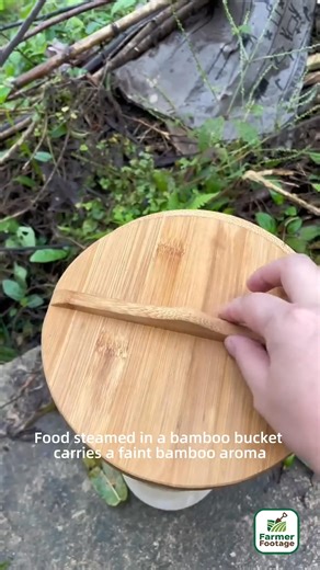 Uses of bamboo roots | Field to Feast