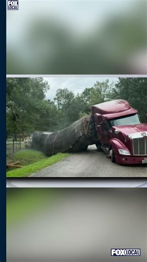 Millions of Bees Invade Texas Neighborhood After Semi-Truck Overturns | FOX 7 Austin