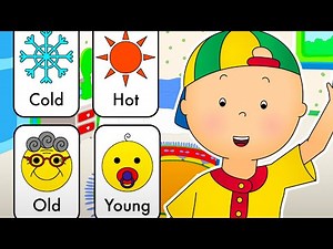 Caillou Learns the Opposites | Caillou Cartoon
