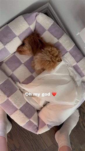 Puppy's Pee Pad Penthouse: Tuck Me In, Mommy! 💕🥰