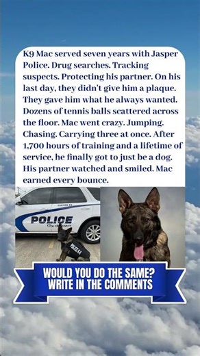 K9 MAC RETIRED AFTER 7 YEARS. HE GOT 100 TENNIS BALLS🐾🎾