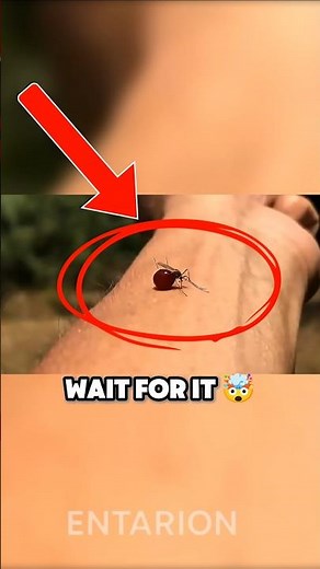 can you really pop a mosquito by flexing?! 😳🦟