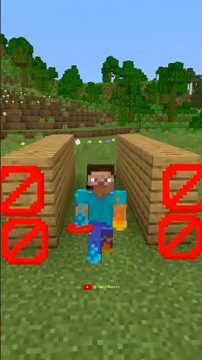 The Strangest Invisible Block Glitch in Minecraft! 😲