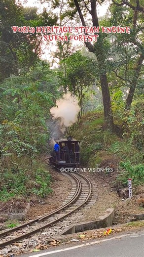 World Heritage Steam Engine At Sukna Forest #steam #engine #darjeeling #automobile #ytshort #dhr