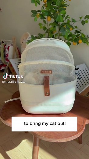 Cute Cat Backpacks for Comfortable Outdoor Adventures