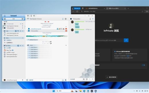 蓝V教你三行代码零基础实战教学搭建TeamSpeak3服务器