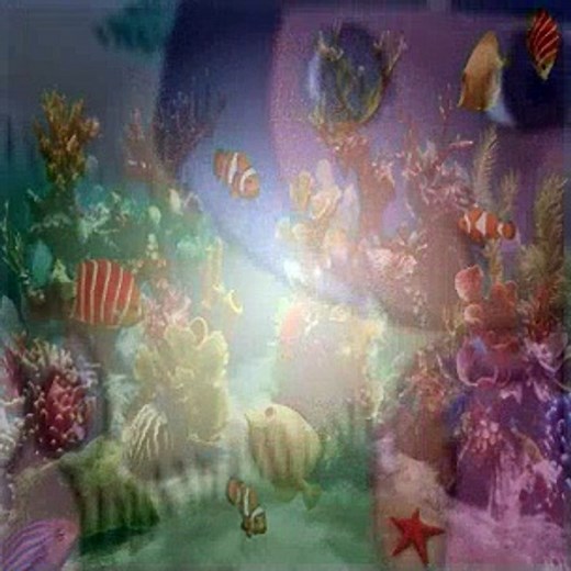 Dora The Explorer S03E11 Por Favor