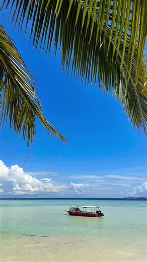 Cre : IG / tamaki nakaiima okinawa 🫰Deep conversations with the right people are priceless. 👇✍️Những cuộc trò chuyện sâu sắc với đúng người là vô giá. #SpaMusic #MeditationMusic #Zen #Sleep #StudyMusic